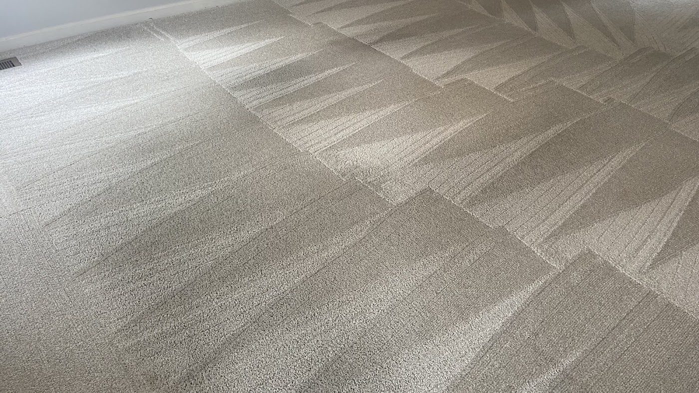 Fresh cleaning lines on carpet