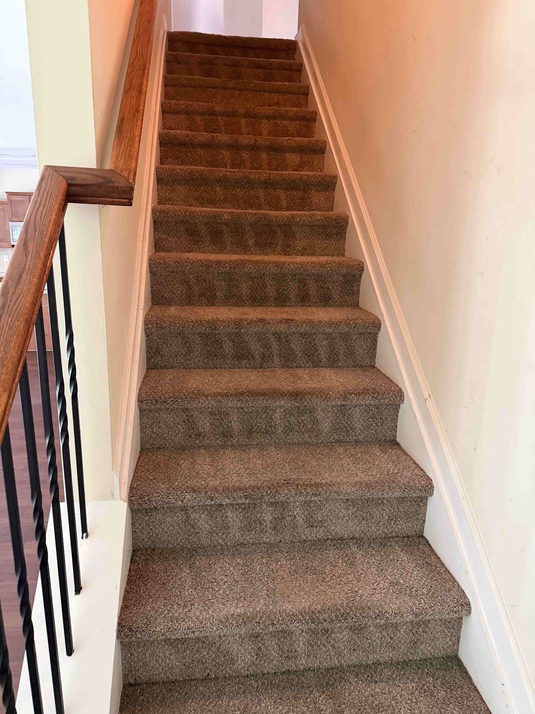 Carpeted stairs