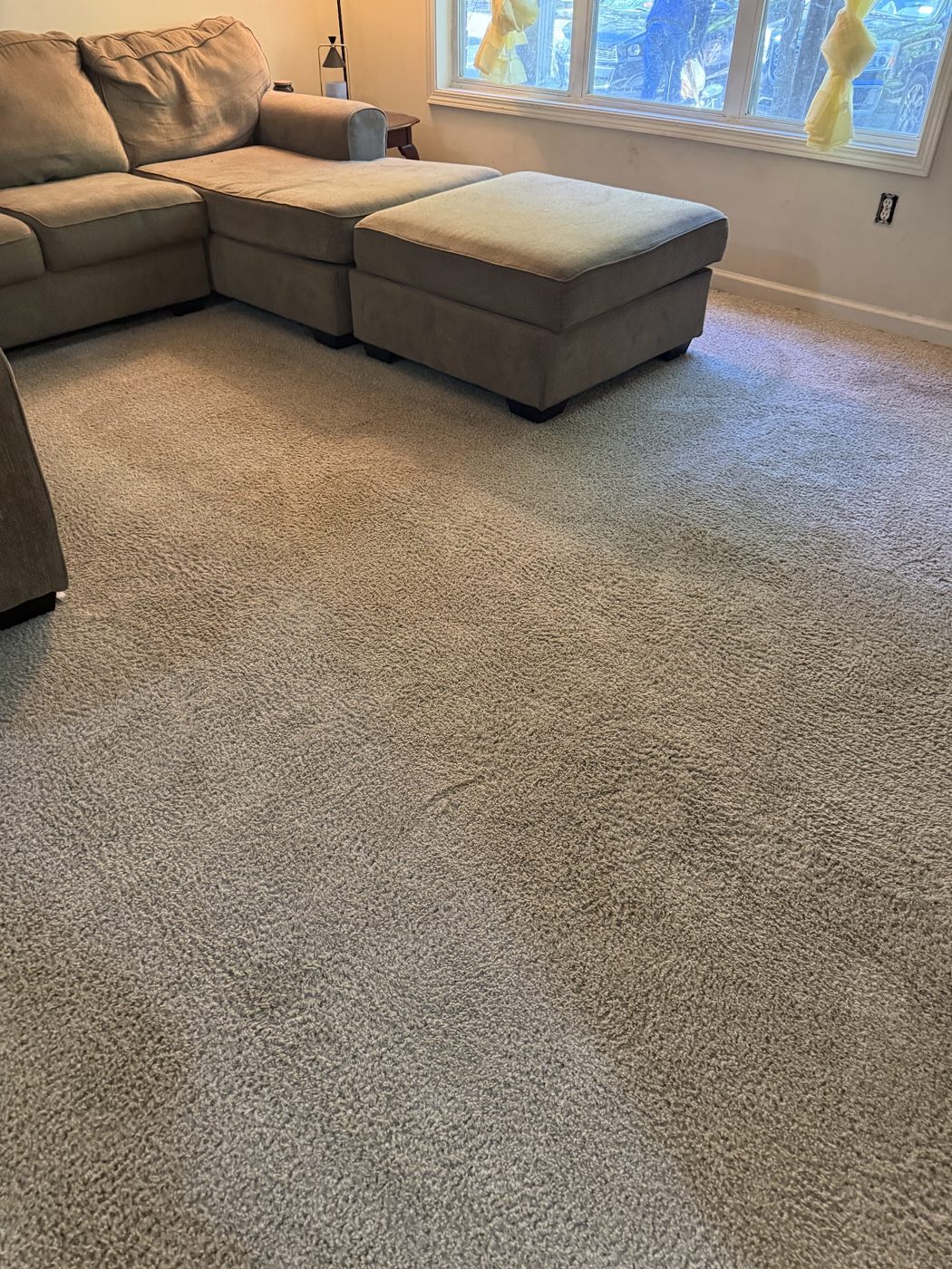 Living room carpet